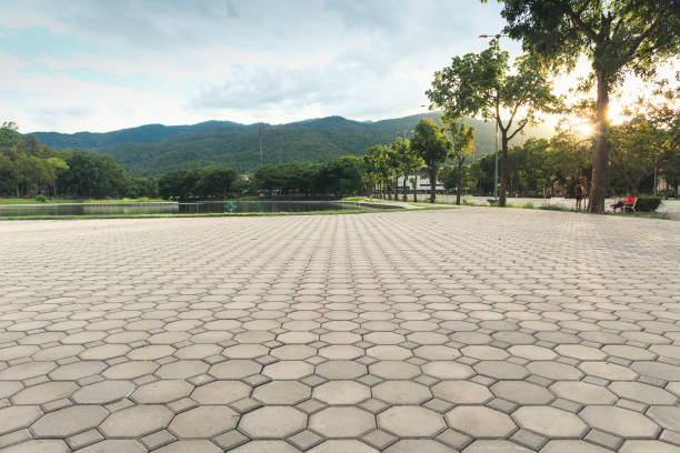Best Professional Driveway Pavers  in Gaffney, SC